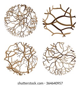 vector illustration / abstract background / branch circle