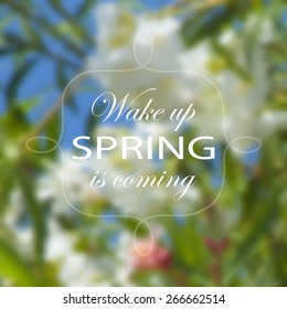 Vector illustration of abstract background for design. Ecology label and Eco design. Blurred background. Blurred spring background. Spring flowering. Spring background. Template for poster. EPS 8.