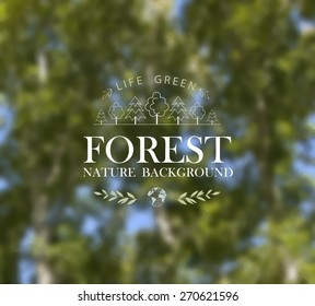 Vector illustration of abstract background for design. Ecology label and Eco design. Forest. Wood. Tropical plants. Blurred background. Green foliage background. Template for poster. EPS 8.