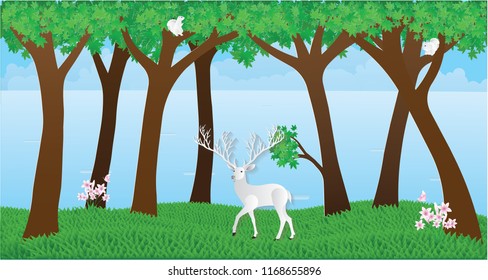 Vector illustration abstract background with Tree Flowers Deer Butterfly Squirrel  and Grass.Paper art concept.