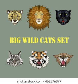 vector illustration abstract big wild cats set