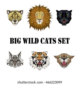 vector illustration abstract big wild cats set