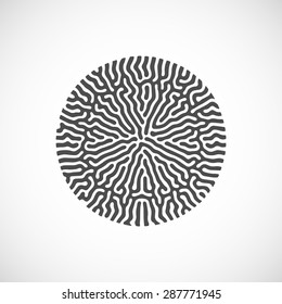 vector illustration of abstract bio shape