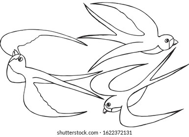  Vector illustration. Abstract birds swallows in flight. Design of banners, wallpapers, clothes, backgrounds