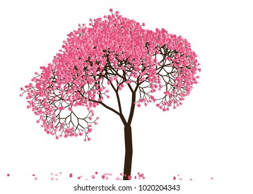 Vector illustration of an abstract blossoming cherry tree against white background