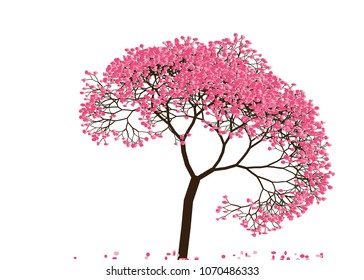 Vector illustration of an abstract blossoming cherry tree against white background