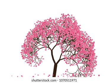 Vector illustration of an abstract blossoming cherry tree against white background