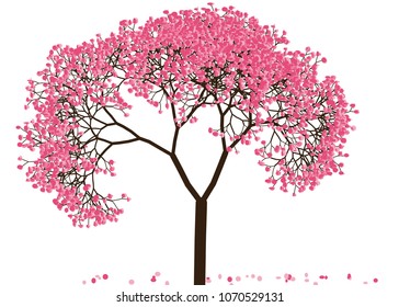 Vector illustration of an abstract blossoming cherry tree against white background