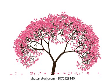 Vector illustration of an abstract blossoming cherry tree against white background
