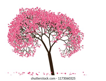 Vector illustration of an abstract blossoming cherry tree against white background.