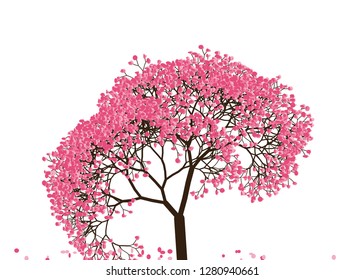 Vector illustration of an abstract blossoming cherry tree isolated on a white background.