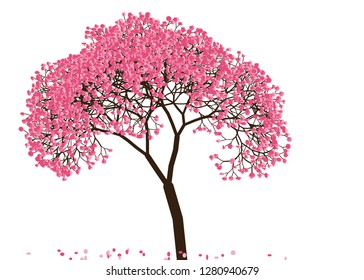 Vector illustration of an abstract blossoming cherry tree isolated on a white background.