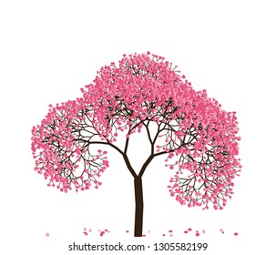 Vector illustration of an abstract blossoming cherry tree isolated on a white background.
