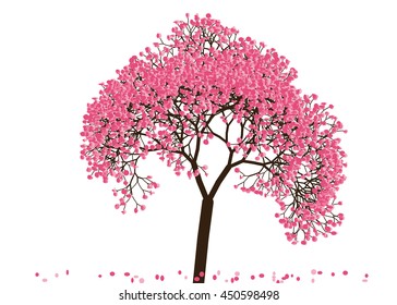 Vector illustration an abstract blossoming cherry tree against white background