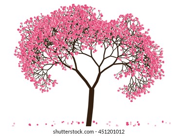 Vector illustration an abstract blossoming cherry tree against white background
