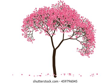 Vector illustration an abstract blossoming cherry tree against white background