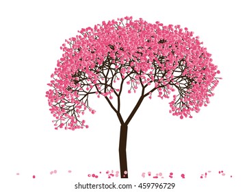 Vector illustration an abstract blossoming cherry tree against white background