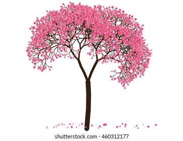 Vector illustration an abstract blossoming cherry tree against white background