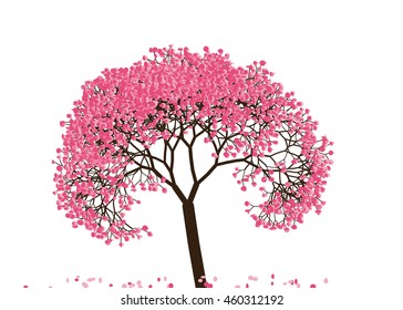 Vector illustration an abstract blossoming cherry tree against white background