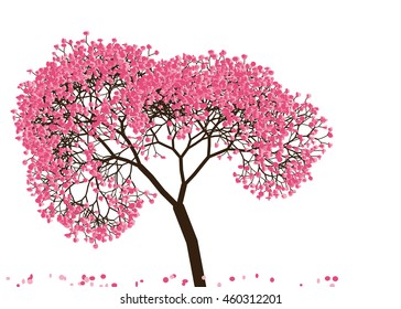 Vector illustration an abstract blossoming cherry tree against white background