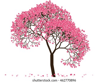 Vector illustration an abstract blossoming cherry tree against white background