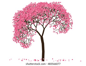 Vector illustration an abstract blossoming cherry tree against white background