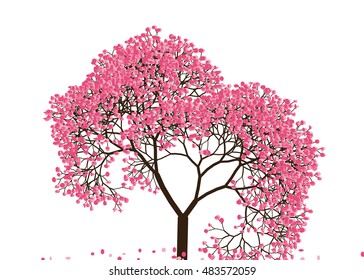Vector illustration an abstract blossoming cherry tree against white background