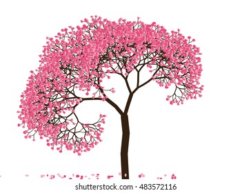 Vector illustration an abstract blossoming cherry tree against white background