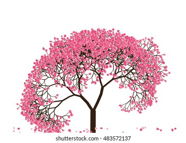 Vector illustration an abstract blossoming cherry tree against white background