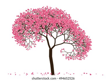 Vector illustration an abstract blossoming cherry tree against white background