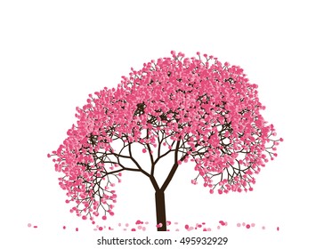 Vector illustration an abstract blossoming cherry tree against white background