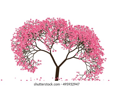 Vector illustration an abstract blossoming cherry tree against white background