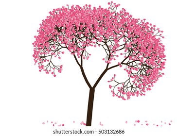 Vector illustration an abstract blossoming cherry tree against white background