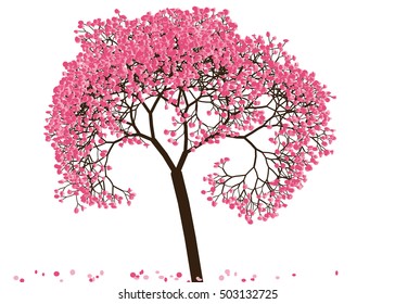 Vector illustration an abstract blossoming cherry tree against white background