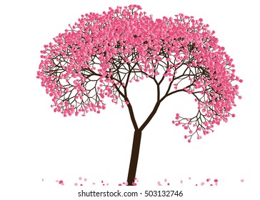 Vector illustration an abstract blossoming cherry tree against white background