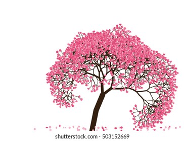 Vector illustration an abstract blossoming cherry tree against white background