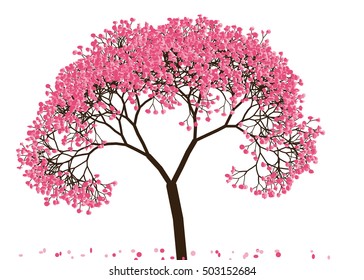 Vector illustration an abstract blossoming cherry tree against white background