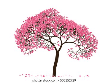 Vector illustration an abstract blossoming cherry tree against white background