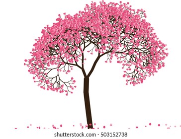 Vector illustration an abstract blossoming cherry tree against white background