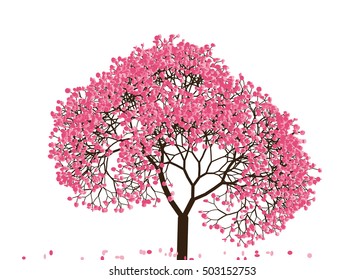 Vector illustration an abstract blossoming cherry tree against white background
