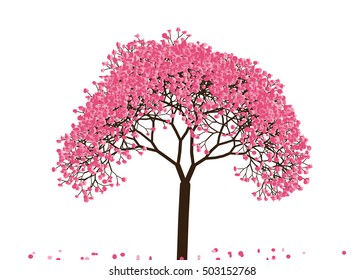 Vector illustration an abstract blossoming cherry tree against white background