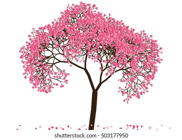 Vector illustration an abstract blossoming cherry tree against white background
