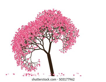 Vector illustration an abstract blossoming cherry tree against white background