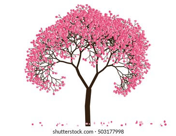 Vector illustration an abstract blossoming cherry tree against white background