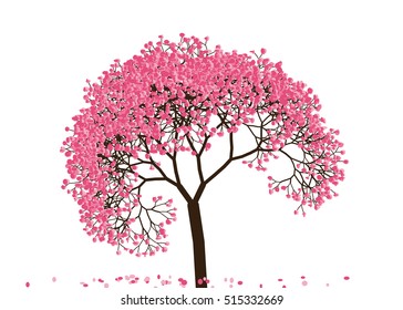 Vector illustration an abstract blossoming cherry tree against white background