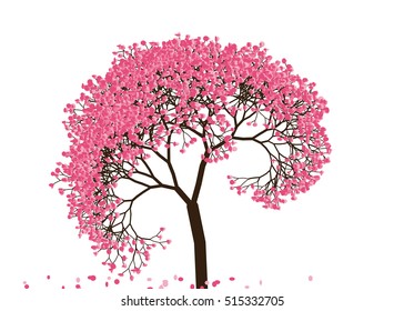 Vector illustration an abstract blossoming cherry tree against white background