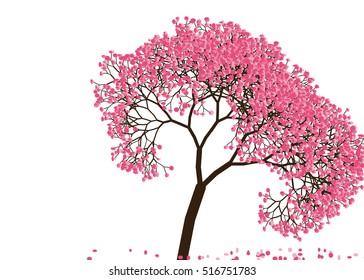 Vector illustration an abstract blossoming cherry tree against white background