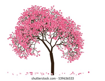 Vector illustration of an abstract blossoming cherry tree against white background