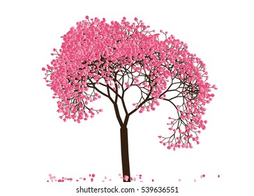 Vector illustration of an abstract blossoming cherry tree against white background