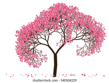 Vector illustration of an abstract blossoming cherry tree against white background